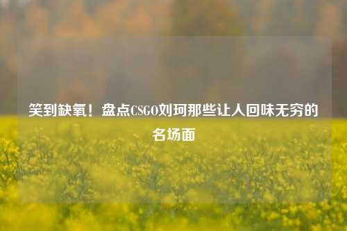 笑到缺氧！盘点CSGO刘珂那些让人回味无穷的名场面