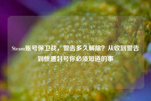Steam账号保卫战,警告多久解除?从收到警告到惨遭封号你必须知道的事