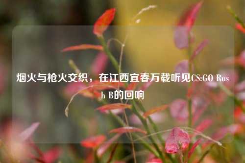 烟火与枪火交织，在江西宜春万载听见CS:GO Rush B的回响