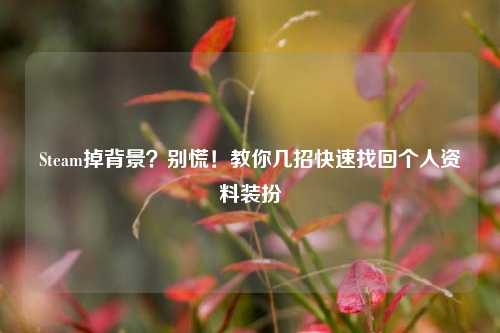Steam掉背景?别慌!教你几招快速找回个人资料装扮