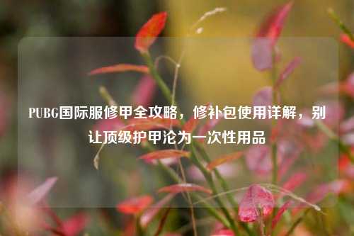 PUBG国际服修甲全攻略，修补包使用详解，别让顶级护甲沦为一次性用品