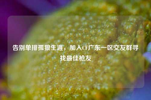 告别单排孤狼生涯，加入CF广东一区交友群寻找最佳枪友