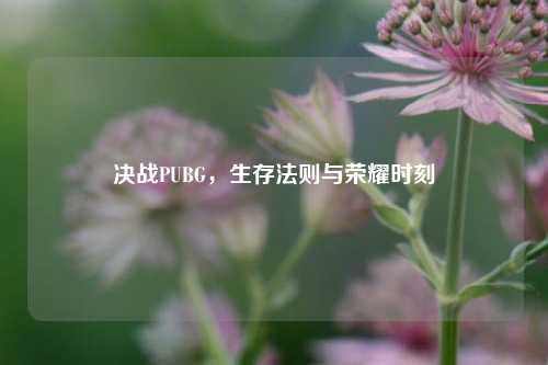 决战PUBG，生存法则与荣耀时刻