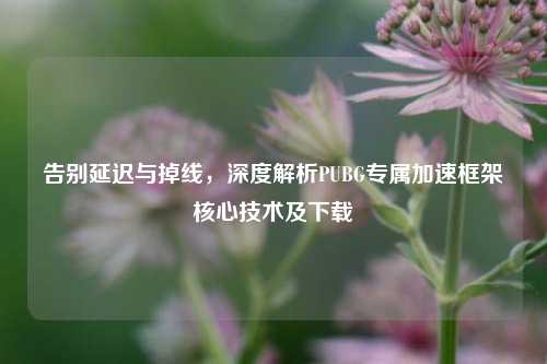 告别延迟与掉线,深度解析PUBG专属加速框架核心技术及下载