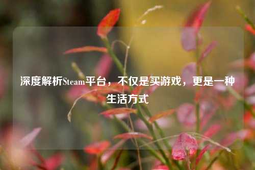 深度解析Steam平台,不仅是买游戏,更是一种生活方式