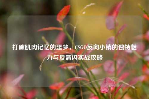 打破肌肉记忆的噩梦,CSGO反向小镇的独特魅力与反清闪实战攻略