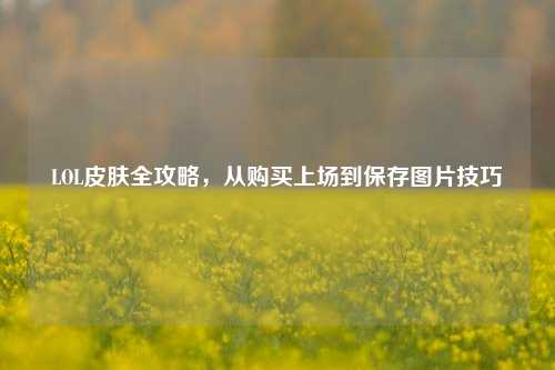 LOL皮肤全攻略，从购买上场到保存图片技巧