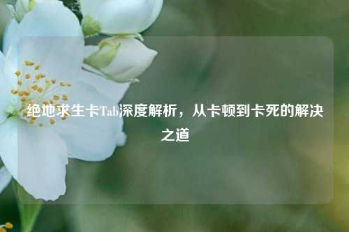 绝地求生卡Tab深度解析，从卡顿到卡死的解决之道