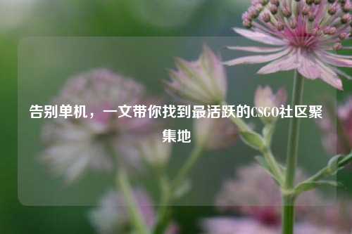 告别单机，一文带你找到最活跃的CSGO社区聚集地