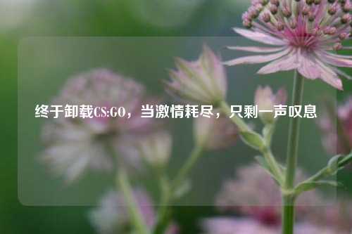 终于卸载CS:GO，当激情耗尽，只剩一声叹息