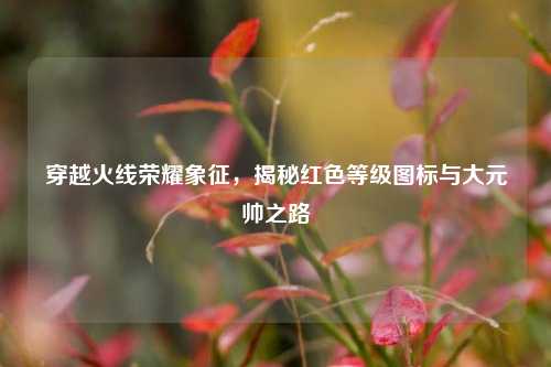 穿越火线荣耀象征，揭秘红色等级图标与大元帅之路
