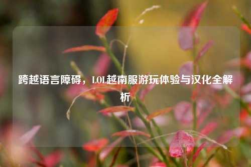 跨越语言障碍，LOL越南服游玩体验与汉化全解析