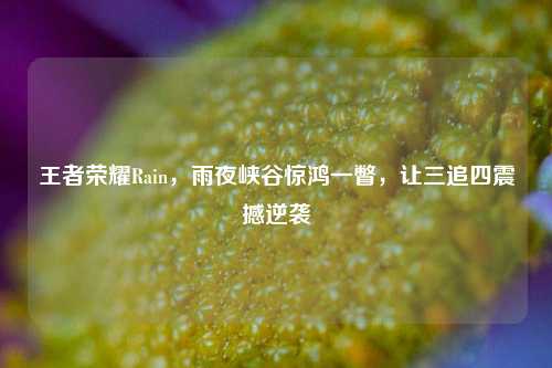 王者荣耀Rain,雨夜峡谷惊鸿一瞥,让三追四震撼逆袭