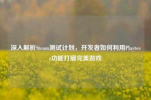 深入解析Steam测试计划,开发者如何利用Playtest功能打磨完美游戏