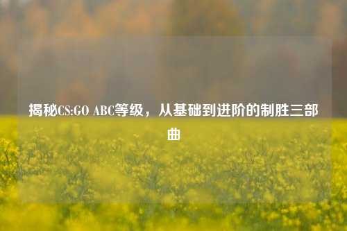 揭秘CS:GO ABC等级，从基础到进阶的制胜三部曲