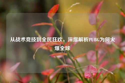 从战术竞技到全民狂欢,深度解析PUBG为何火爆全球