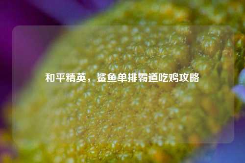 和平精英,鲨鱼单排霸道吃鸡攻略