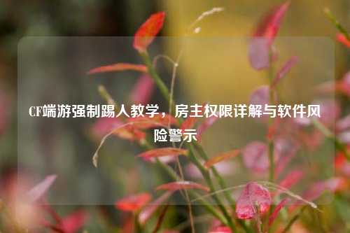CF端游强制踢人教学,房主权限详解与软件风险警示