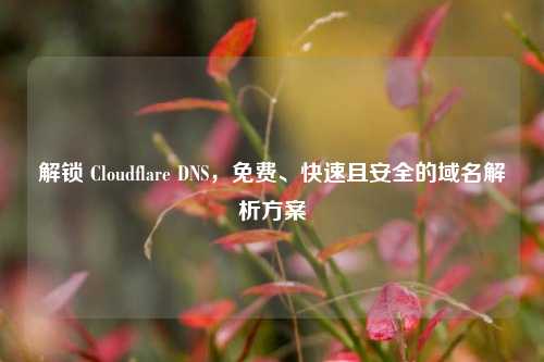 解锁 Cloudflare DNS,免费、快速且安全的域名解析方案