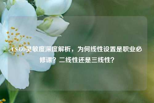 CS:GO灵敏度深度解析，为何线性设置是职业必修课？二线性还是三线性？