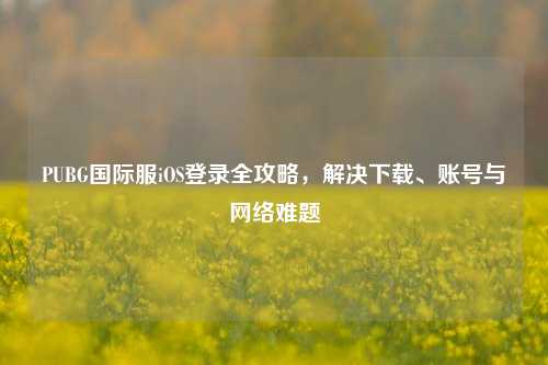 PUBG国际服iOS登录全攻略，解决下载、账号与网络难题