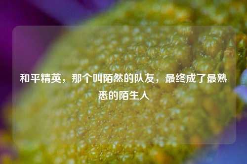 和平精英,那个叫陌然的队友,最终成了最熟悉的陌生人