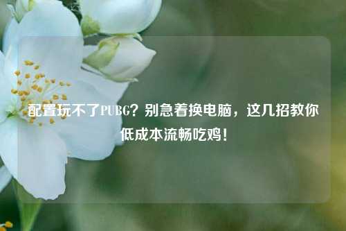 配置玩不了PUBG？别急着换电脑，这几招教你低成本流畅吃鸡！
