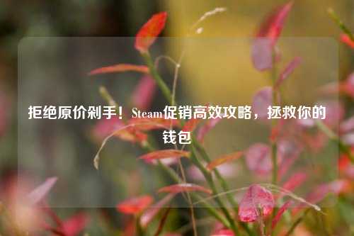 拒绝原价剁手！Steam促销高效攻略，拯救你的钱包