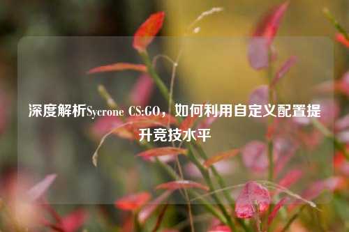 深度解析Sycrone CS:GO,如何利用自定义配置提升竞技水平