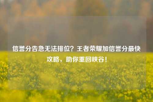 信誉分告急无法排位?王者荣耀加信誉分最快攻略,助你重回峡谷!