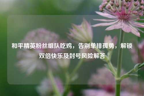 和平精英粉丝组队吃鸡，告别单排孤勇，解锁双倍快乐及封号风险解答