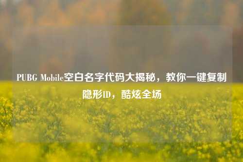 PUBG Mobile空白名字代码大揭秘，教你一键复制隐形ID，酷炫全场