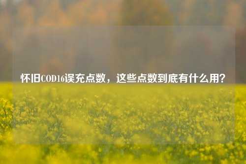 怀旧COD16误充点数，这些点数到底有什么用？