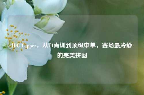 JDG Capper,从T1青训到顶级中单,赛场最冷静的完美拼图