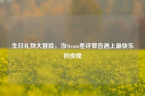 生日礼物大冒险,当Steam差评警告遇上最快乐的夜晚