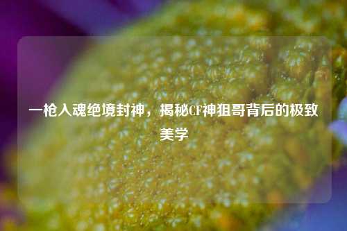 一枪入魂绝境封神，揭秘CF神狙哥背后的极致美学