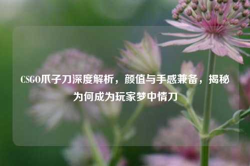 CSGO爪子刀深度解析，颜值与手感兼备，揭秘为何成为玩家梦中情刀