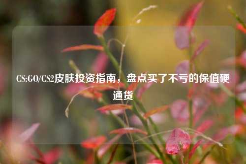 CS:GO/CS2皮肤投资指南，盘点买了不亏的保值硬通货