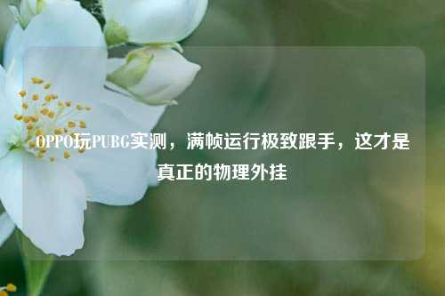 OPPO玩PUBG实测,满帧运行极致跟手,这才是真正的物理外挂