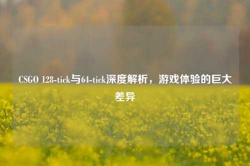 CSGO 128-tick与64-tick深度解析，游戏体验的巨大差异