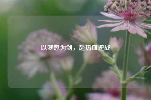 以梦想为剑，赴热血逆战