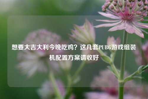想要大吉大利今晚吃鸡？这几套PUBG游戏组装机配置方案请收好
