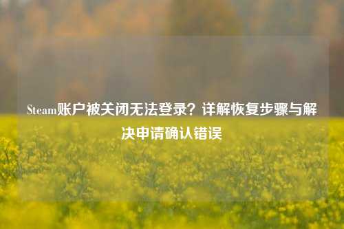 Steam账户被关闭无法登录?详解恢复步骤与解决申请确认错误