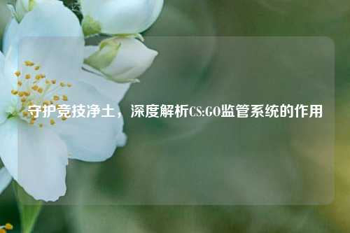 守护竞技净土，深度解析CS:GO监管系统的作用