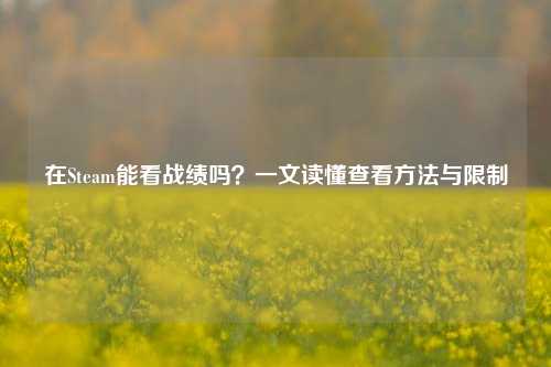 在Steam能看战绩吗？一文读懂查看方法与限制