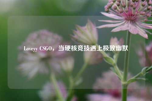 Loveyy CSGO，当硬核竞技遇上极致幽默