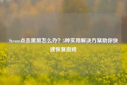 Steam点击黑屏怎么办?5种实用解决方案助你快速恢复游戏