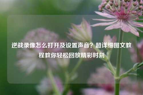 逆战录像怎么打开及设置声音?超详细图文教程教你轻松回放精彩时刻