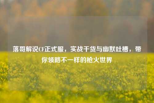 落哥解说CF正式服，实战干货与幽默吐槽，带你领略不一样的枪火世界