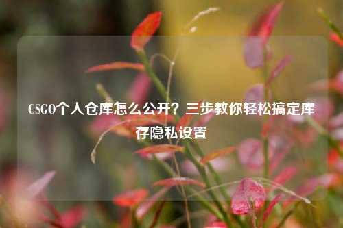 CSGO个人仓库怎么公开？三步教你轻松搞定库存隐私设置
